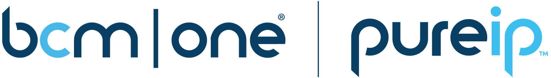 BCMOne_PureIP_DualLogo_lightblue_darkblue-1