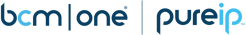 BCMOne_PureIP_DualLogo_lightblue_darkblue-1
